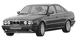 BMW E34 P0D6A Fault Code